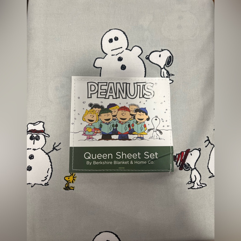 NWT Winter Snoopy Sheets